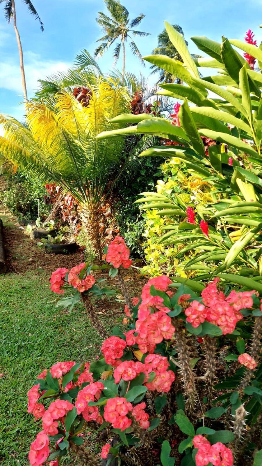 Aerowview Home Retreat Matei Luaran gambar